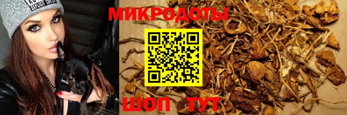 Псилоцибиновые грибы мухоморы  Вход с VPN  Кудымкар  Псилоцибиновые грибы мухоморы 